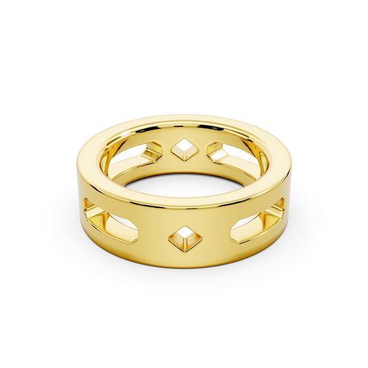 ERMINE - Tech Ring 1